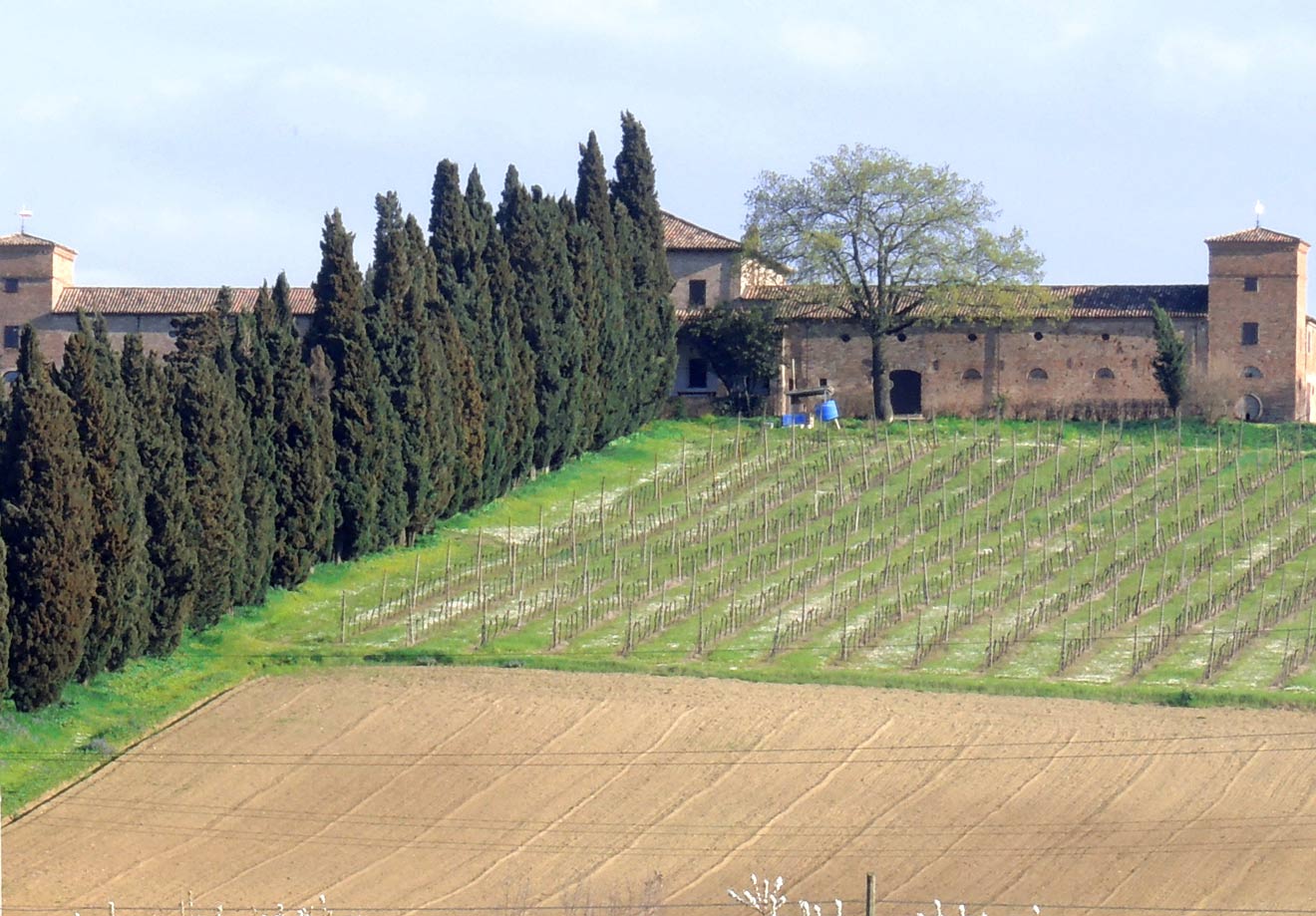 Cosa vedere a Savignano sul Rubicone - Romagna Damare