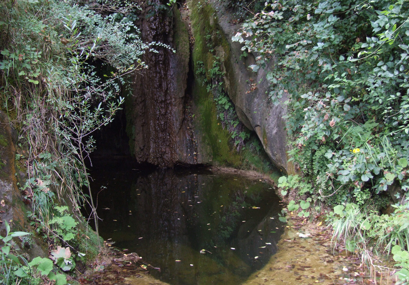 Cosa fare a Sarsina - Romagna Damare