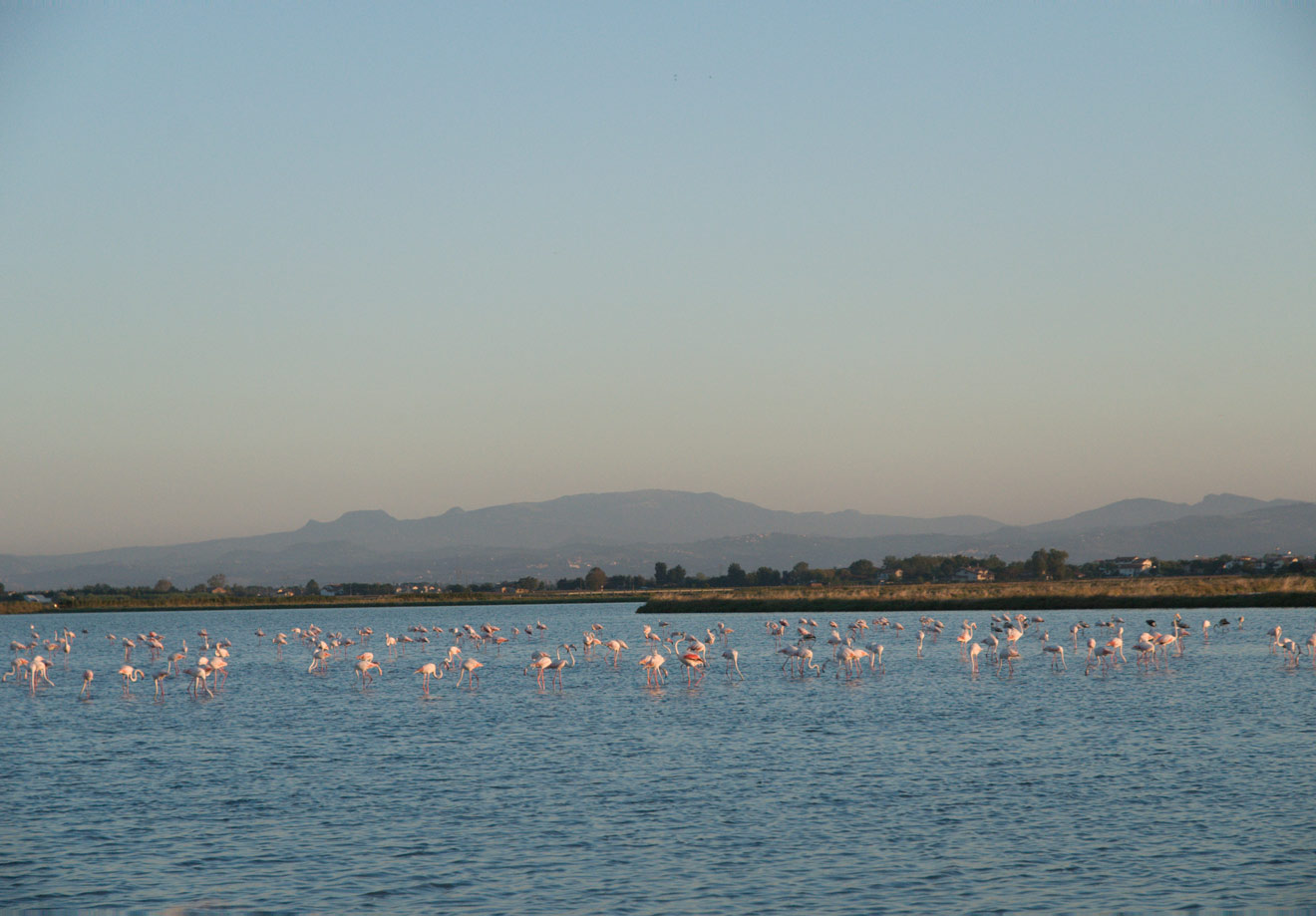 Saline di Cervia - Romagna Damare