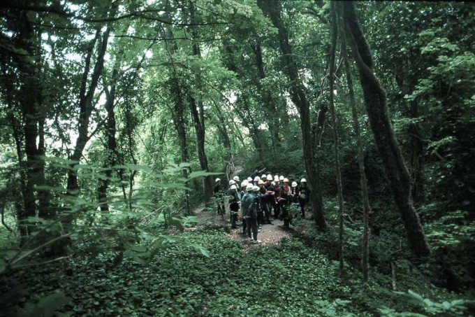 Esplora la Riserva Naturale Orientata - Romagna Damare