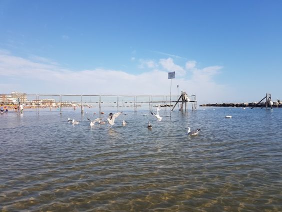 Una giornata al mare - Romagna Damare